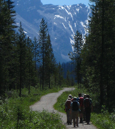 Canadian Rockies Alpine Hiking